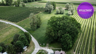 Działka Sprzedaż Wilga