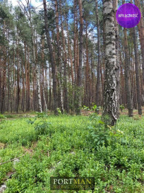 Działka Sprzedaż Malcanów